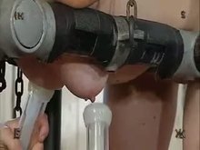 Insex torment
