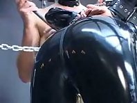 BDSM - Latex Kitten