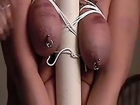 Pierced tits tormentd