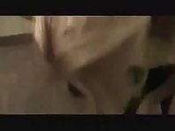 Facefucked Amateur Subgirl